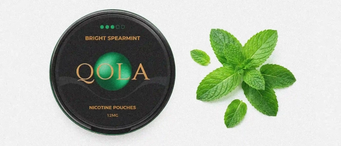 Are nicotine pouches vegan